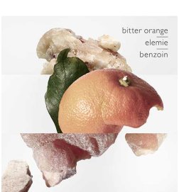Wunder-Milch - Duftende Körpermilch Wunder-Milch - Duftende Körpermilch